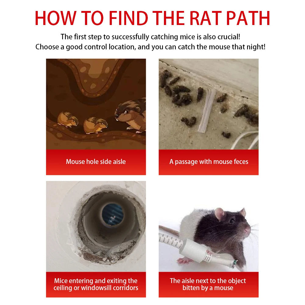 Sliding Door Humane Mouse Trap