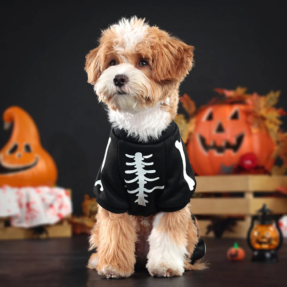 Glow Skeleton Dog Costume