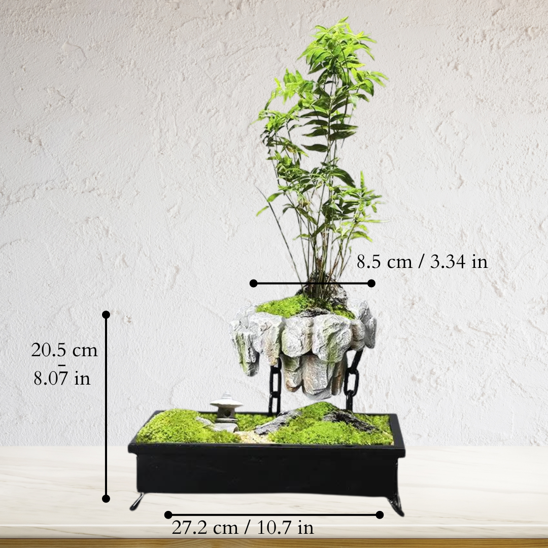 Levitating Stone Planter with Magnetic Base