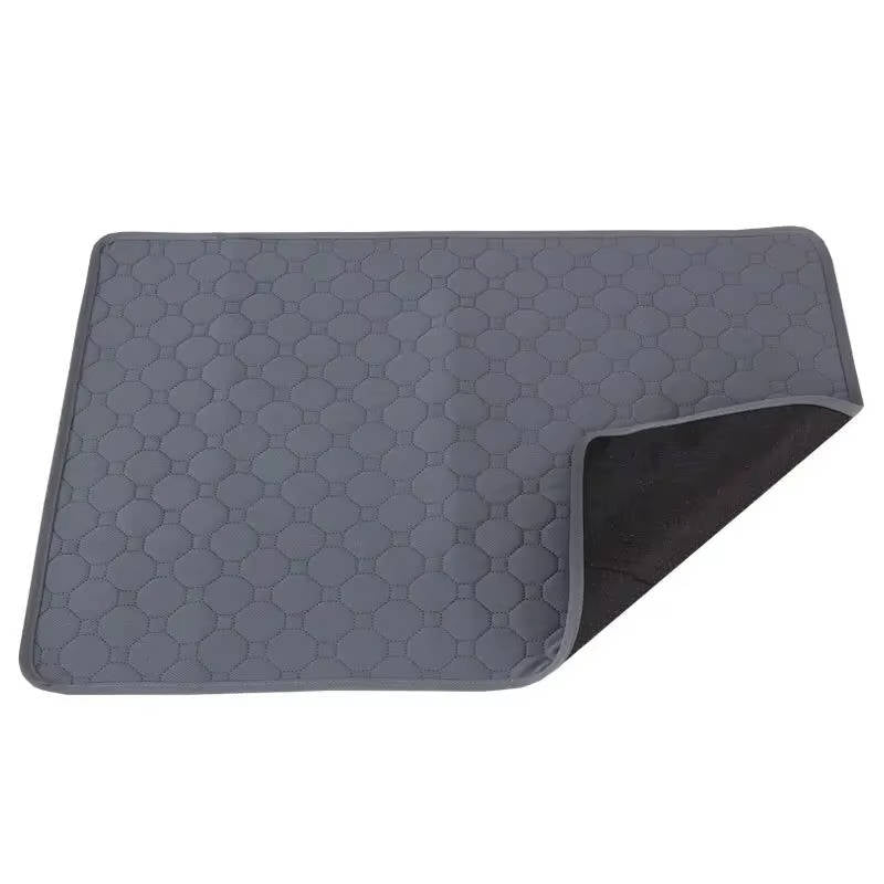 Dog Pee Pads – Disposable and Reusable Options