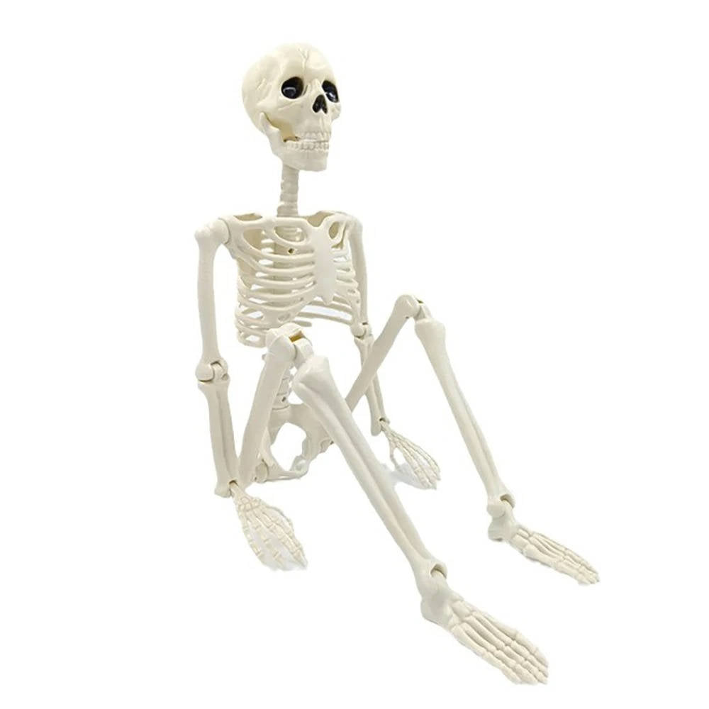 Life-Size Skeleton Outdoor Decoration