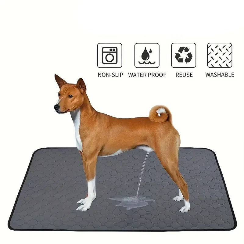 Dog Pee Pads – Disposable and Reusable Options