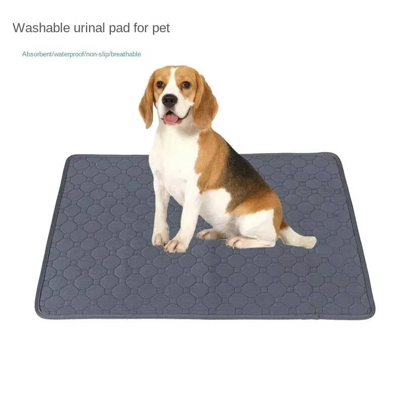 Dog Pee Pads – Disposable and Reusable Options