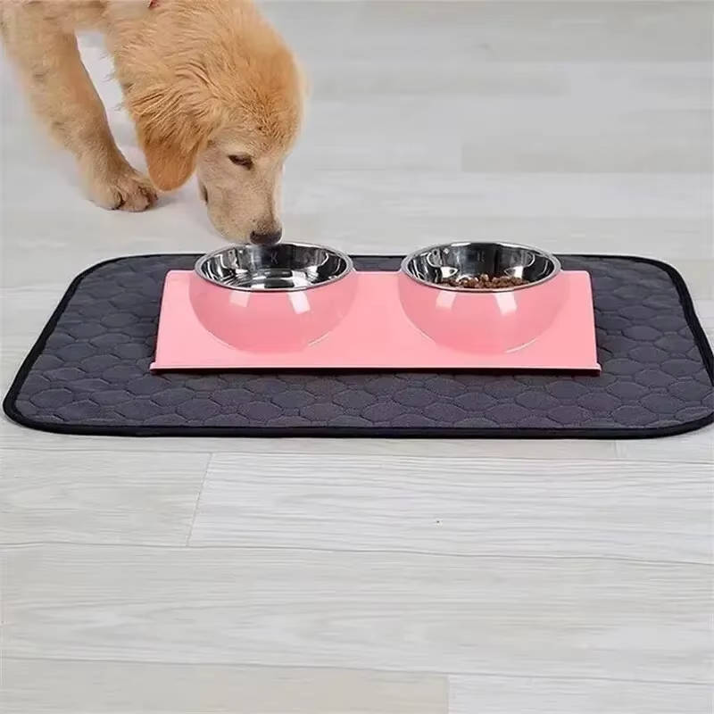 Dog Pee Pads – Disposable and Reusable Options