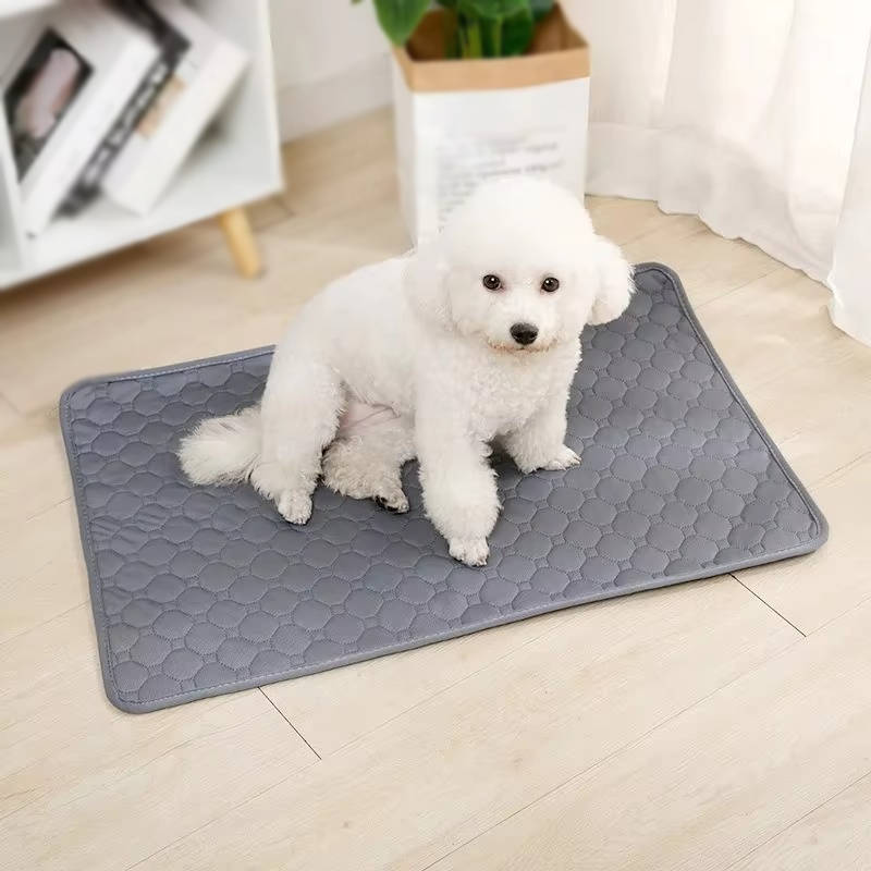 Dog Pee Pads – Disposable and Reusable Options