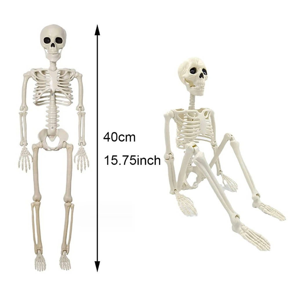Life-Size Skeleton Outdoor Decoration