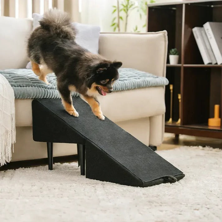 2-in-1 Convertible Dog Ramp and Step Stool – Elevanogo