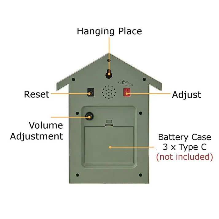 Modern Decorative Cuckoo Wall Clock